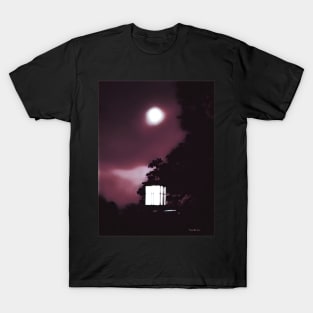 Night Lights - Graphic 3 T-Shirt